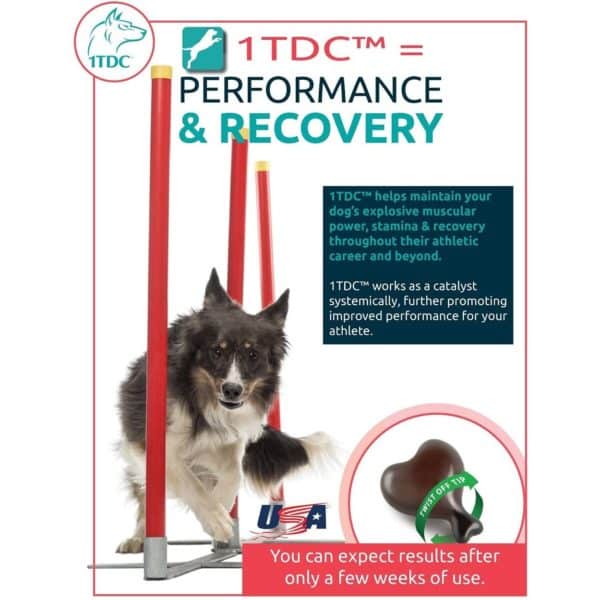 1-TDC Dental Supplement Soft Gels Caps for Cats & Dogs