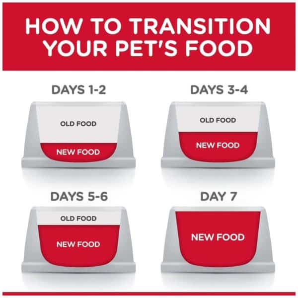 Hill's Science Diet How to transition your Pet's Food