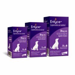 Entyce (capromorelin) Oral Solution for Dogs