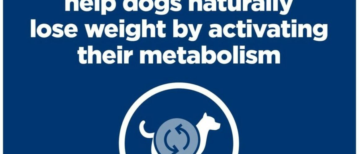 Hill's Prescription Diet Metabolic Chicken Flavor Dry Dog Food