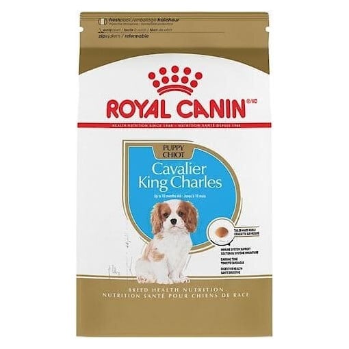 Royal Canin Breed Health Nutrition Cavalier King Charles Puppy Dry Dog Food